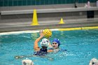 WWPolo vs CC  Wheaton College Women’s Water Polo compete in their sports inaugural match vs Connecticut College. - Photo By: KEITH NORDSTROM : Wheaton, water polo, inaugural